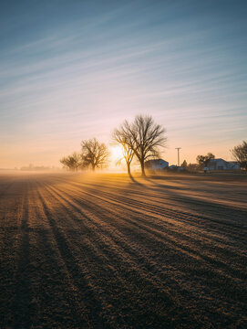 Morning sun rising over rural farm field and trees