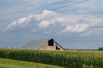 midwestern barn © mark