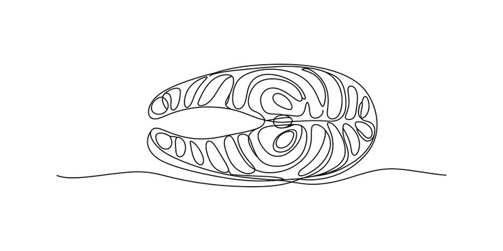 Continuous single line drawing Fresh raw salmon steak slice isolated outline drawing