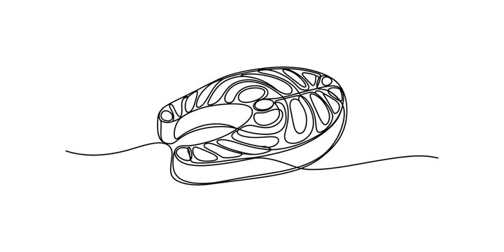 Continuous single line drawing Fresh raw salmon steak slice isolated outline drawing