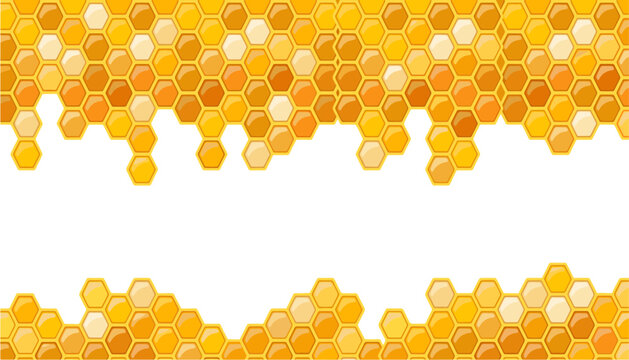 Honeycomb pattern with hexagon cells frame background. Sweet honey, bee nest texture, organic food, yellow fluid grid and dripping nectar.