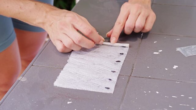 Hands Roll Sunflowers Seeds in a Damp Paper Towel on a Tiled Surface, Preparing a Simple Germination Test for Home Gardening and Plant Growth