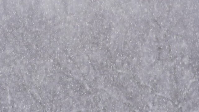 Blizzard - Heavy Snow Storm detail in SLOW MOTION HD VIDEO. Wild falling snowflakes in the wind. Low depth of field and blurred trees in the background. Close-up. Half speed.