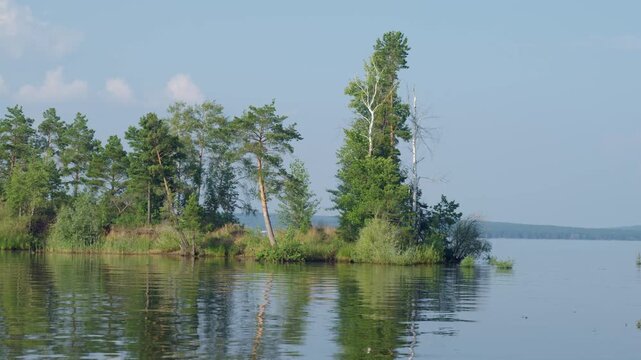 Island on the calm lake with trees