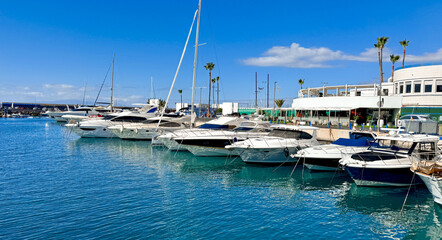 Luxury yachts and sailboats moored in sunny marina with blue water, palm trees and waterfront harbor on a hot summer day © Ольга Клецкова
