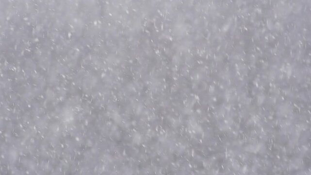 Blizzard - Heavy Snow Storm detail in SLOW MOTION HD VIDEO. Wild falling snowflakes in the wind. Low depth of field and blurred trees in the background. Close-up. Half speed.