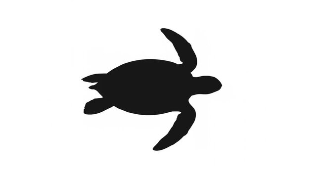Sea turtle silhouette viewed from above against plain white background