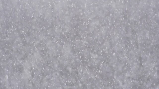 Blizzard - Heavy Snow Storm detail in SLOW MOTION HD VIDEO. Wild falling snowflakes in the wind. Low depth of field and blurred trees in the background. Close-up. Half speed.