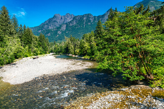 Summer River Landscape