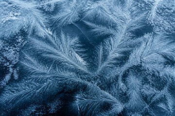 Obraz premium Frost crystals forming feather patterns on cold window