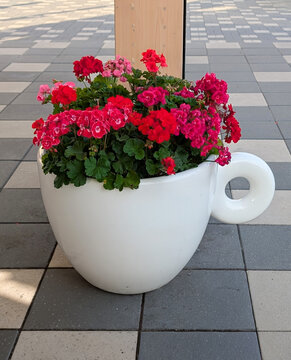 Red geranium flowers blooming inside a large white coffee cup shaped planter outdoors