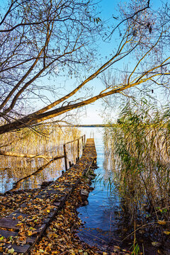Steg und Baum am Plauer See in der Stadt Plau am See