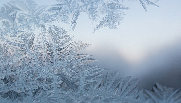 Natural Frost Crystal Pattern on Car Windshield