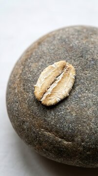 Single oat rests atop a smooth, dark stone