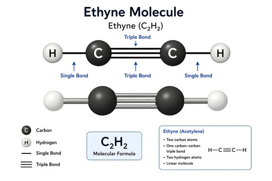 Ethyne Hydrocarbon Molecular Model with Triple Covalent Bond