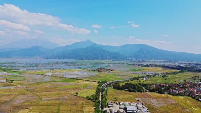 Aerial view of lush rice fields and a winding road near a lake with mountains in the background in Semarang, Central Java, Indonesia.