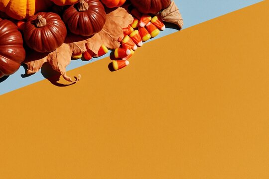 Small decorative pumpkins and autumn leaves with candy corn on a dual tone background for festive holiday banners with copy space