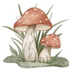 Cute watercolor mushrooms with white spots growing on green grass patch with climbing vine. Vintage hand painted woodland composition for nursery decor and children storybook.