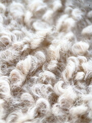 Close Up Macro Texture of Soft White Curly Wool Fur Background for Cozy Winter Concept © Марія Мешко
