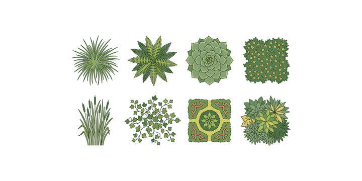 Top View Garden Plant Collection with Fern Succulent Grasses Ground Cover and Foliage