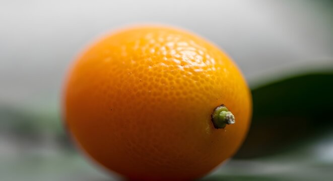 Single ripe kumquat with textured skin in soft natural light against a blurred green background
