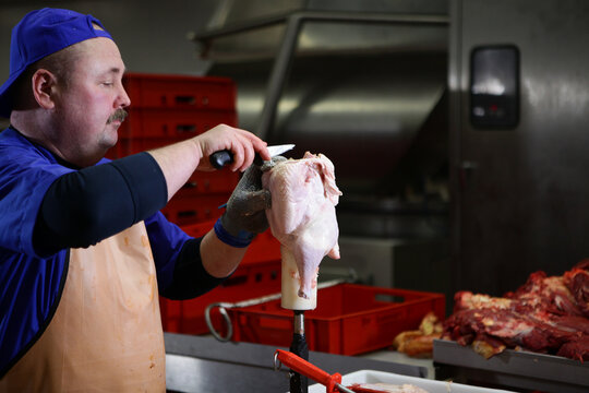 Working at a meat processing plant. Butcher cuts up chicken carcasses. A healthy dietary product. Lean meat. Meat processing business concept. Meat processing plant