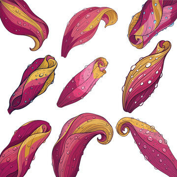 vector seamless pattern with flower petals