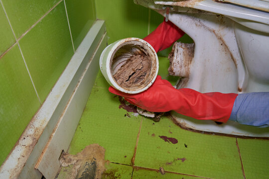 Clogged sewer pipe, Plumber showing old clogged toilet corrugation with dirt and rust inside