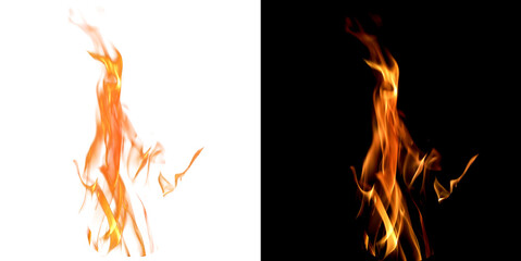 Isolated Tall Fire Flame Tongue Overlay on White and Black Backgrounds © Max Desk