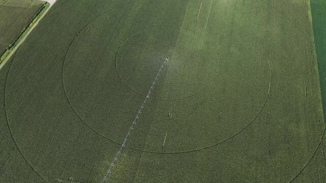 Aerial view of a center-pivot irrigation system in a green agricultural field in Hombourg, Grand Est, France.