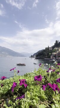 Scenic view of Lake Como and mountains with white and purple flowers and boats from a viewpoint, Italy