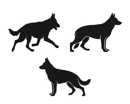 German Shepherd Dog Silhouette Vector Set In Running And Standing Poses