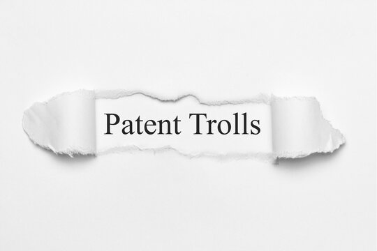 Patent Trolls	
