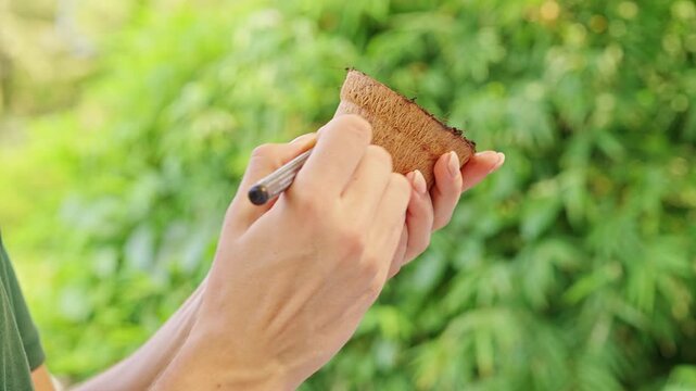 Female Gardener Writes a Hybrid Seed Variety Label on a Biodegradable Fiber Pot for Seedlings Outdoors, Organizing Planting and Cultivation in Close Up