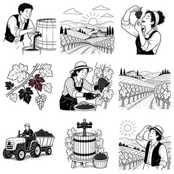 Grape harvest season, 9 pcs icon set isolated