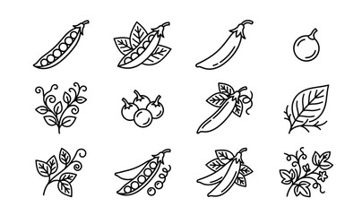 Obraz premium Green Pea Pod and Plant Line Art Icon Set Featuring Fresh Vegetables, Pea Seeds, Vine Tendrils, Leaves, and Organic Agriculture Botanical Outline Graphics