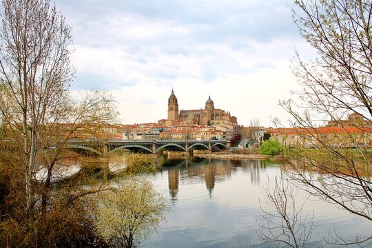 Panoramic view of the New Cathedral of Salamanca from the bank of the Tormes River.