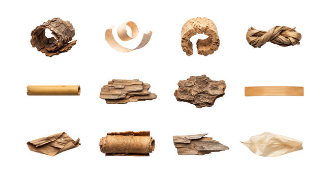 Assorted wood bark and fibrous textures on transparent background for rustic interior detailing.