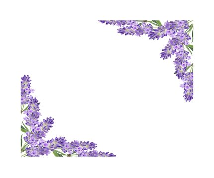 Watercolor lavender Frame with Corner Bouquet of purple Flowers,  Hand painted Illustration with Copy Space.