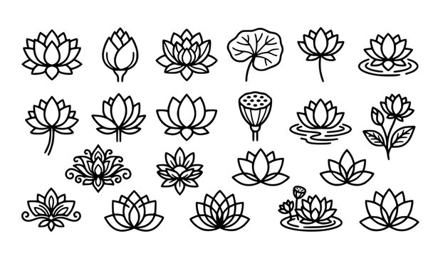 Collection of hand drawn lotus flower illustrations featuring different petal shapes leaves and decorative botanical arrangements