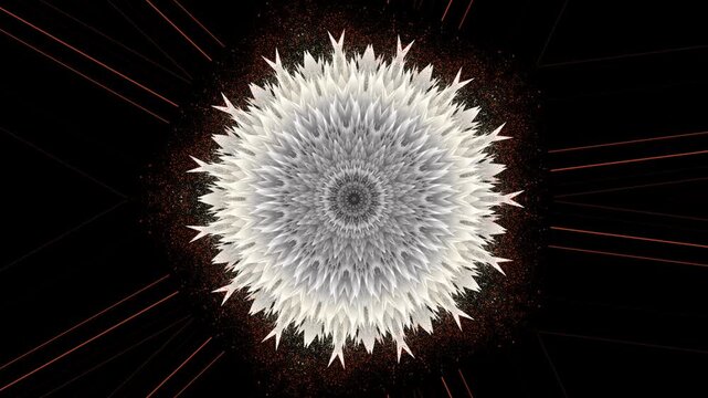 Abstract White Dandelion Flower Motion Graphic