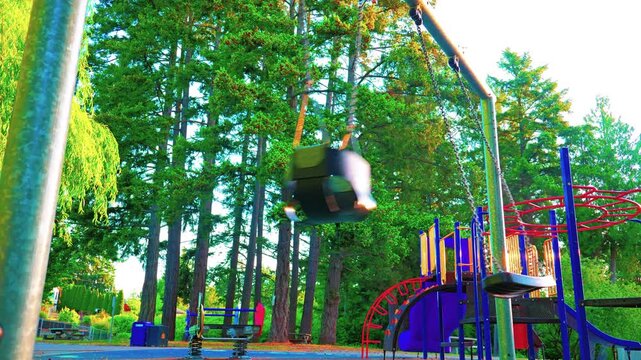 Empty playground swings and jungle gym structure in public park with tall pine trees
