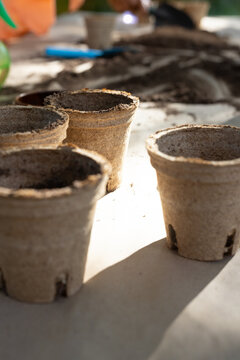 Biodegradable peat pots are sitting on sunlit workbench with potting soil, trowel, watering can