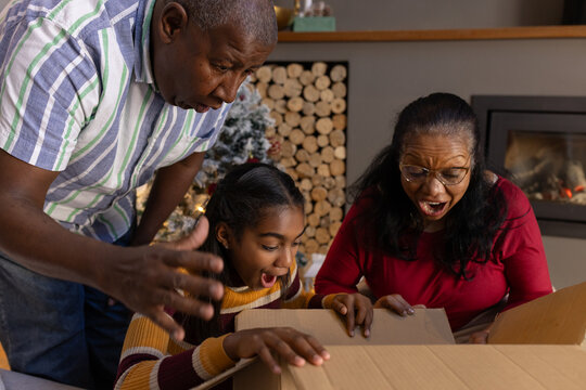 African American seniors and youth girl leaning into open cardboard box on table by fireplace