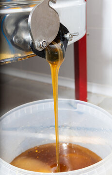 Fresh honey flowing from extractor into bucket