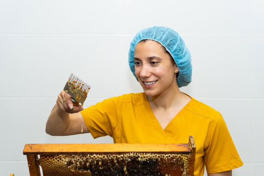 Beekeeper uncapping honey from honeycomb frame for extraction