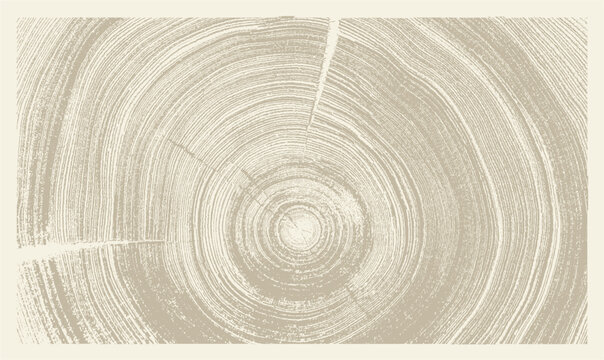 Beige and light brown boho wood texture. Detailed monotone texture of a felled tree trunk or stump. Rough organic tree rings with close up of end grain.