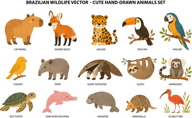 Obraz premium Brazilian Wildlife Vector Cute Hand Drawn Animals Set