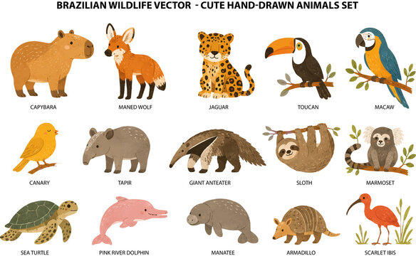 Brazilian Wildlife Vector Cute Hand Drawn Animals Set