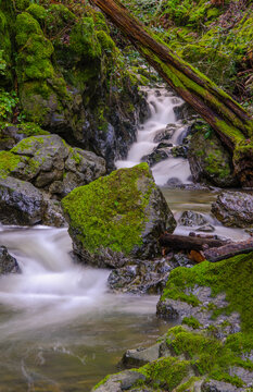 Long exposure of a small waterfall cascades gently over moss-covered rocks in a lush forest. The vibrant greenery and soft water create a peaceful, natural ambiance.